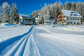 Hotel Annelies, Ramsau Am Dachstein, Österreich